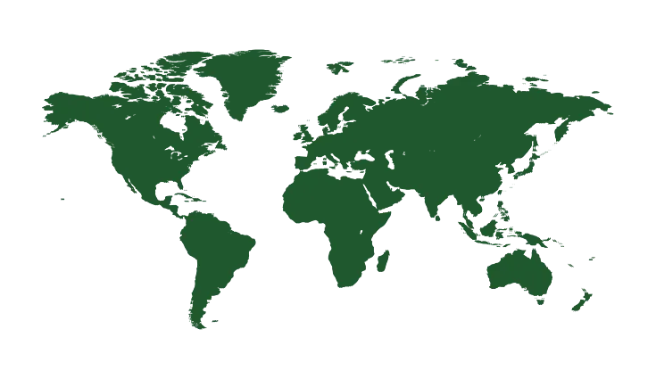 Marketing Network